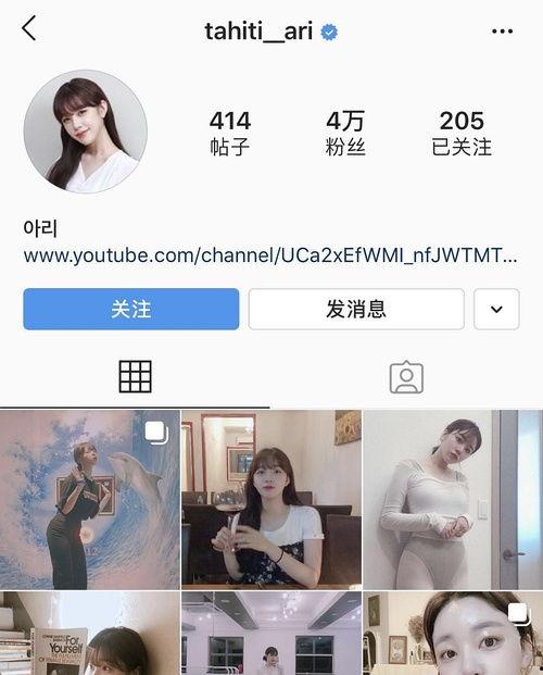 娱乐圈吃瓜bot
